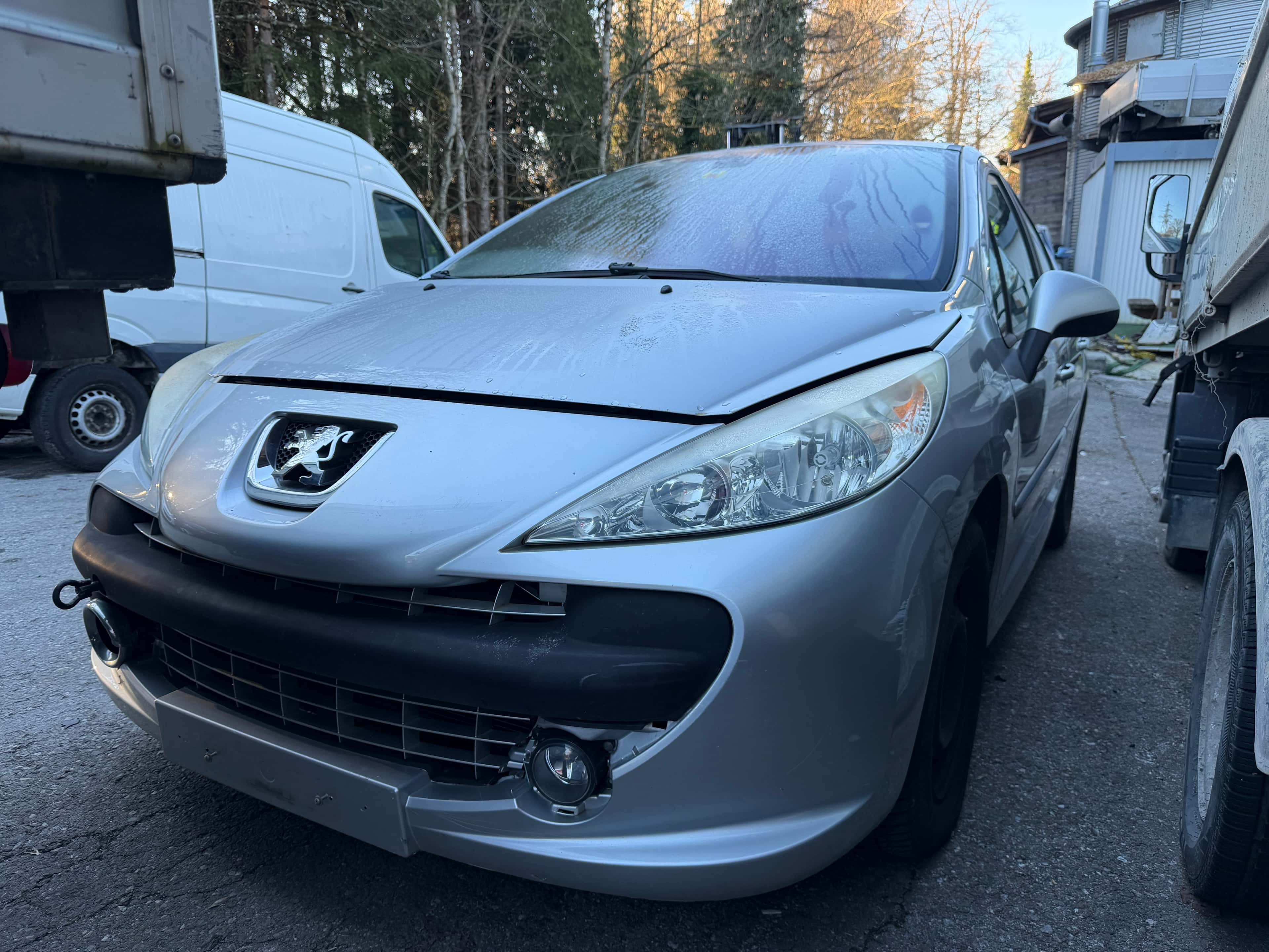 Peugeot 207