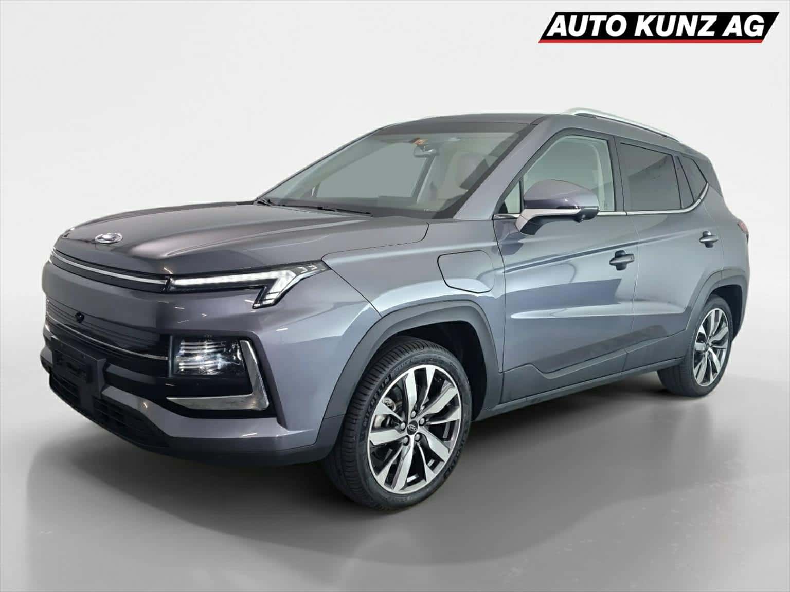 JAC e-JS4