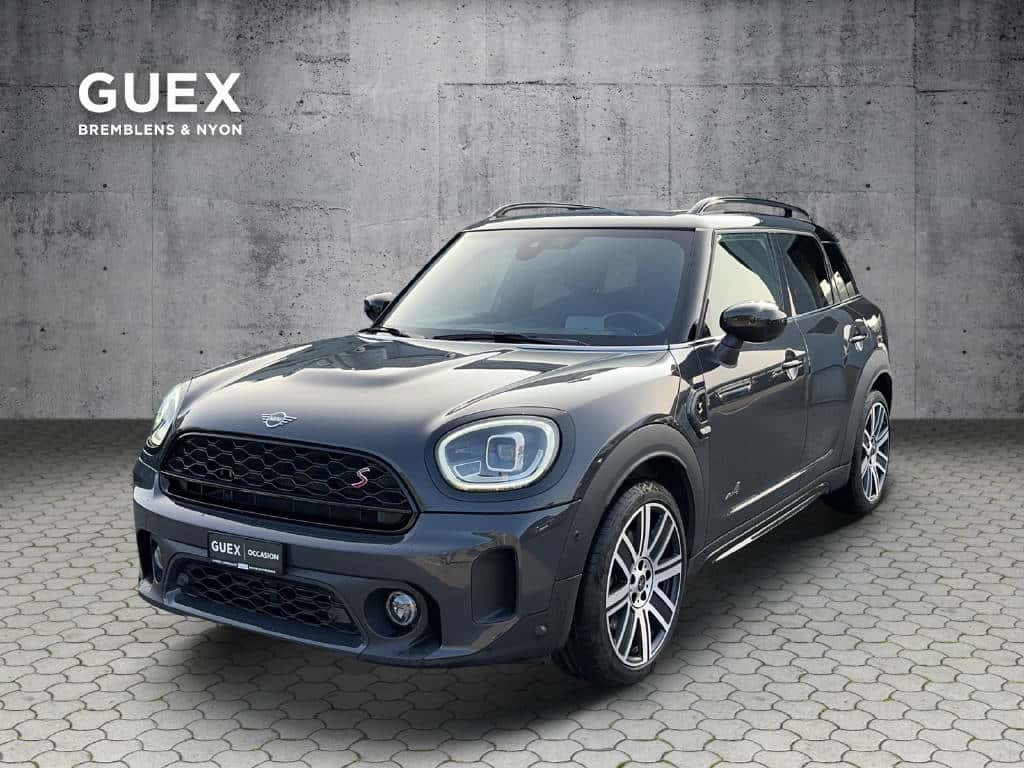 Mini Mini Countryman