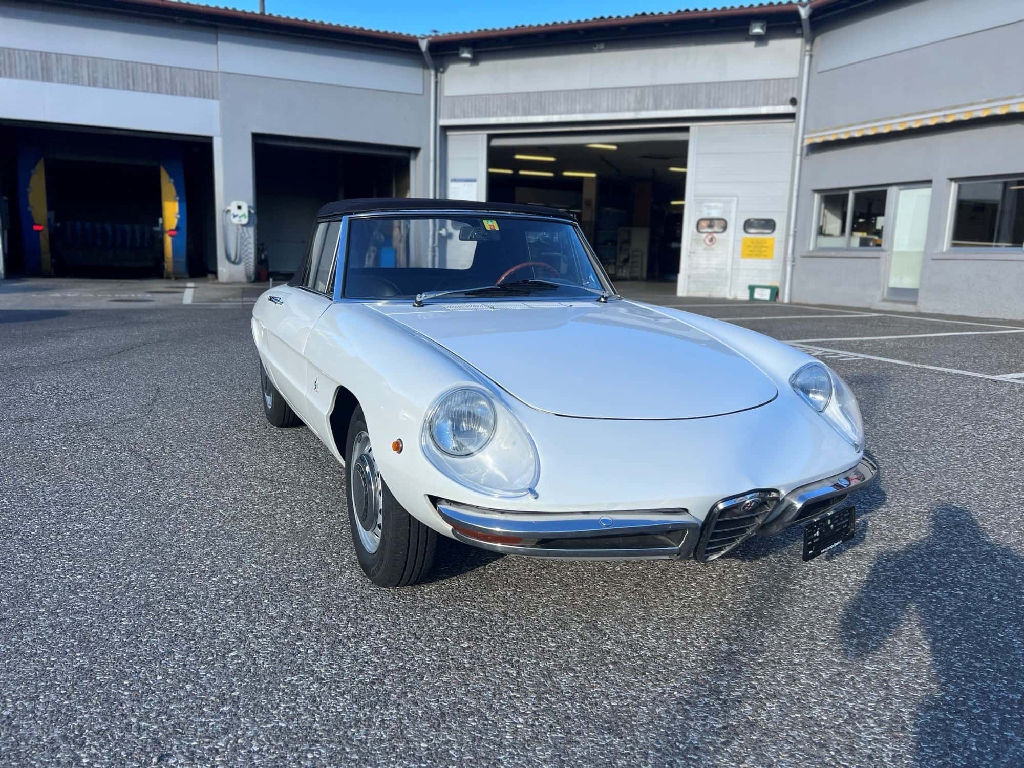 Alfa Romeo Spider