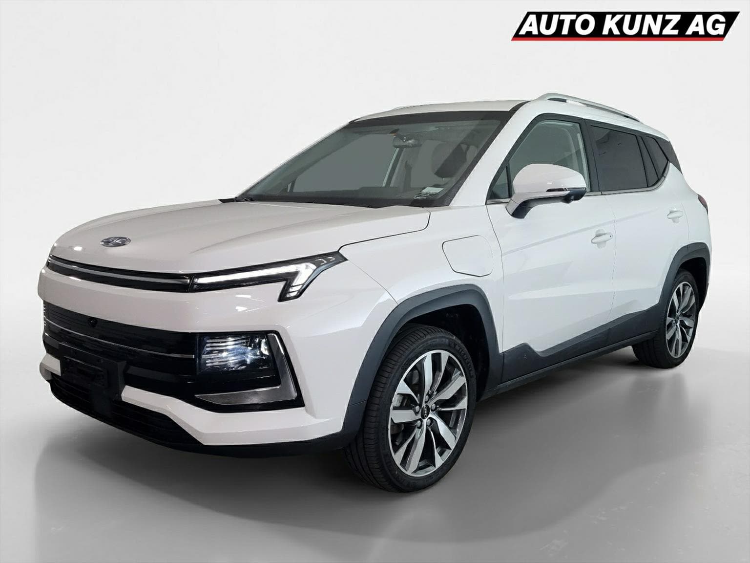 JAC e-JS4